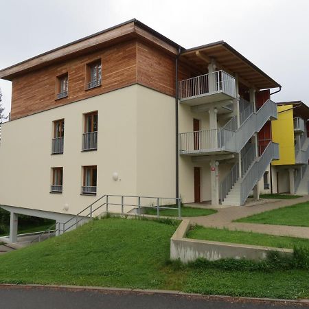 Family Apartment Lipno Lake Lipno nad Vltavou Buitenkant foto